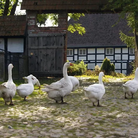 Гостевой дом Przystan Tworcow