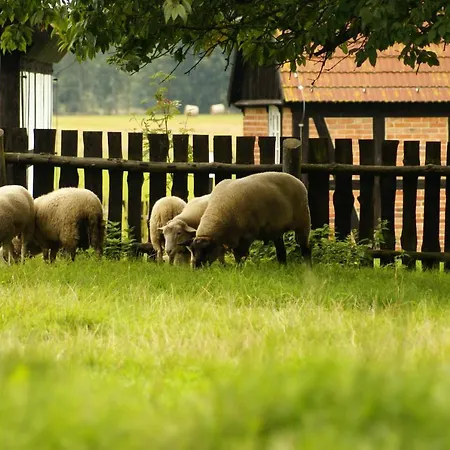 Przystan Tworcow 3* Слупск