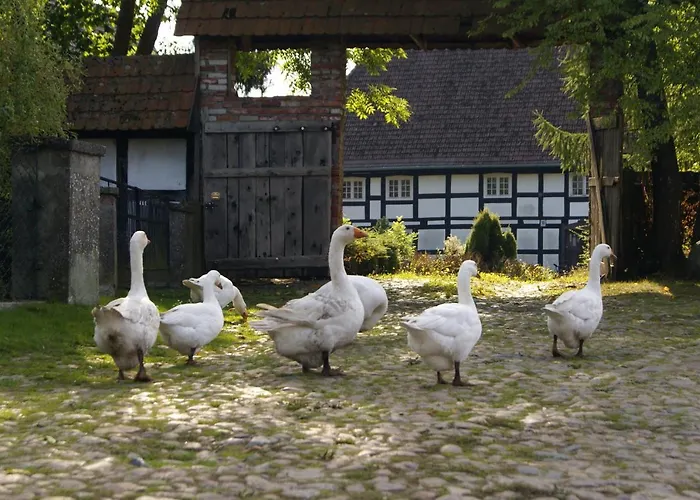 招待所 Przystan Tworcow