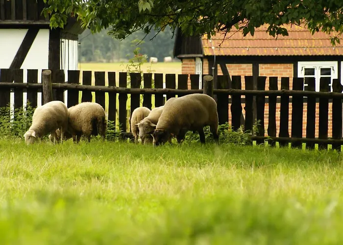 Przystan Tworcow 3* 斯武普斯克